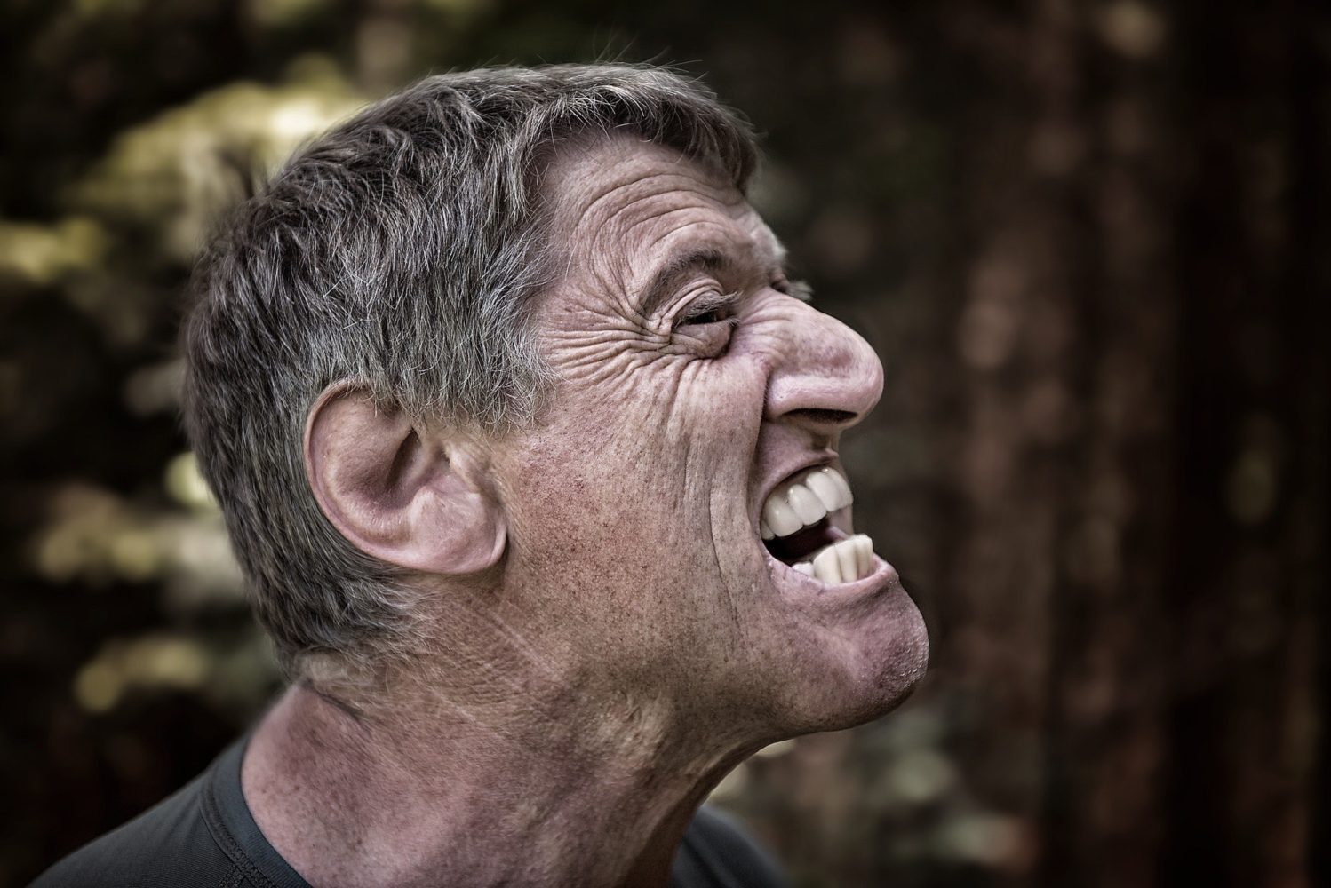 adult anger angry 34667